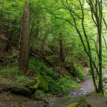 Daire Stunning Woerthersee 15 Sekull