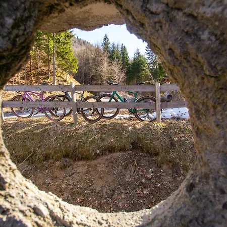 Stunning Woerthersee 15 Daire